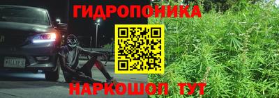 сатива Баксан