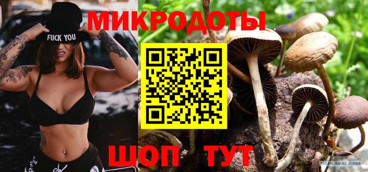 Балашиха  Галлюциногенные грибы Psilocybine cubensis  Вход с VPN 